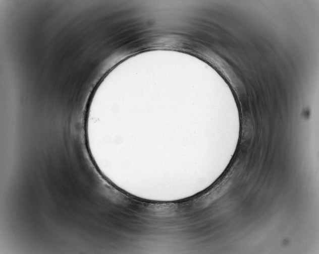 X0000103931434200810101343