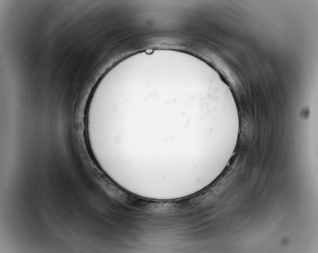 X0000103931435200810101343