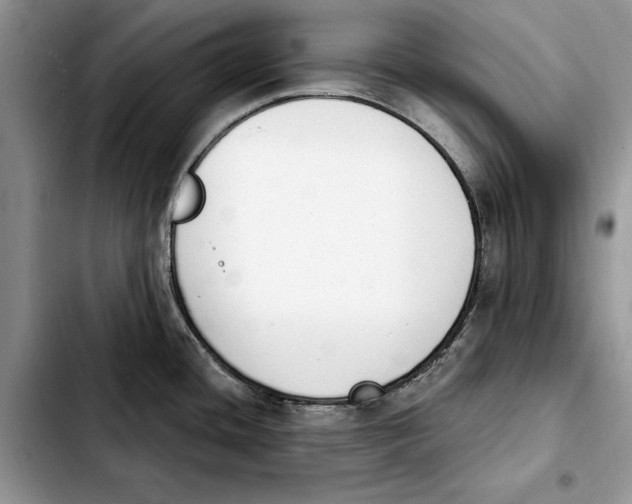 X0000103931436200810101343