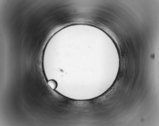 X0000103931437200810101343