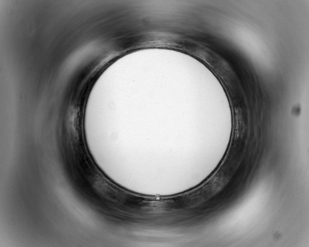 X0000103931438200810101343