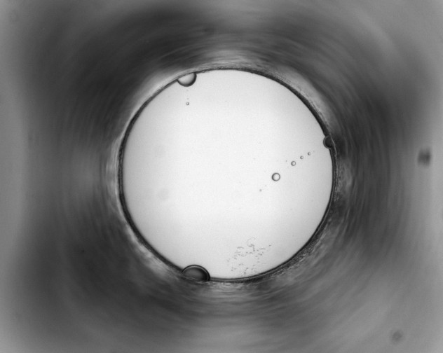 X0000103931439200810101343