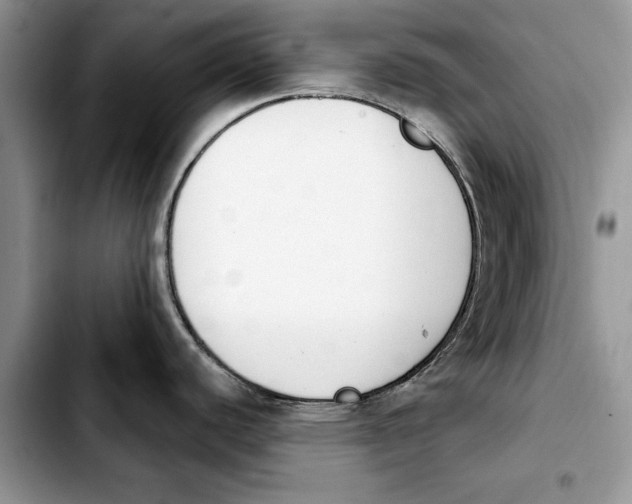 X0000103931440200810101343