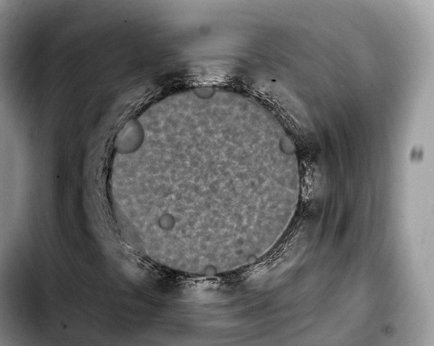 X0000103931441200810101342