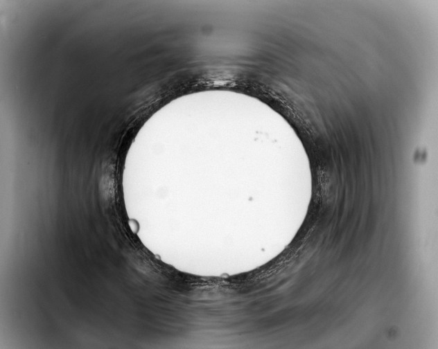 X0000103931442200810101342