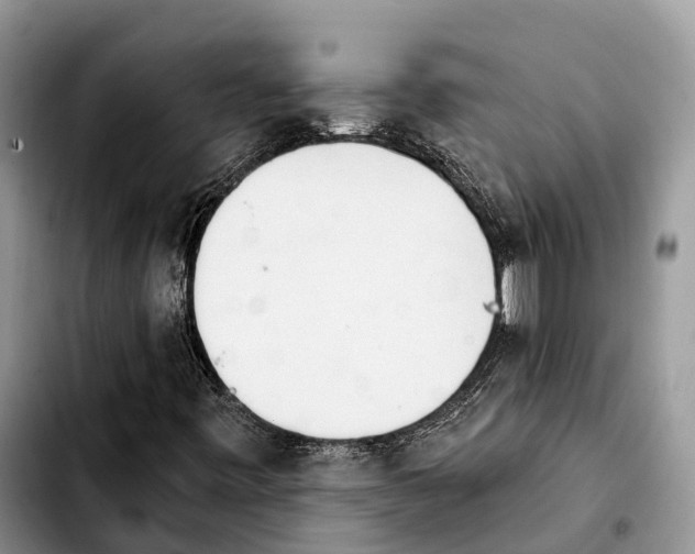 X0000103931443200810101342