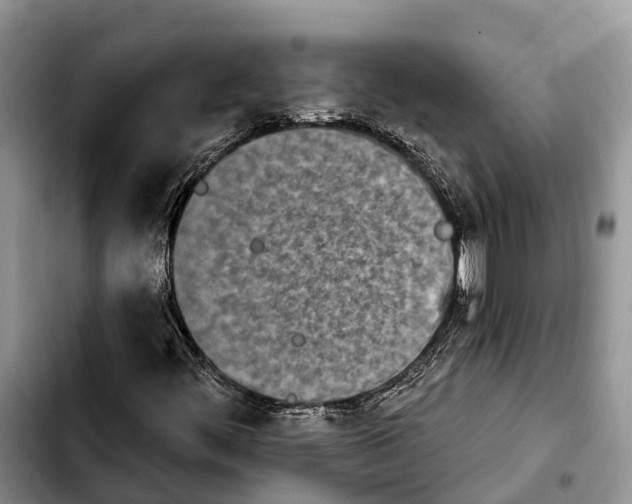 X0000103931444200810101342