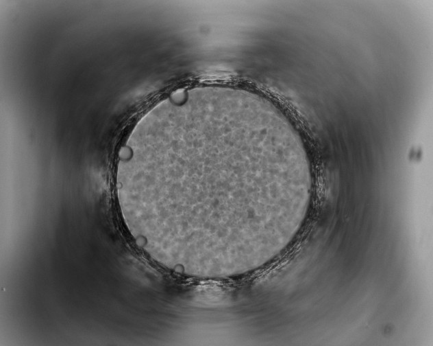 X0000103931445200810101342