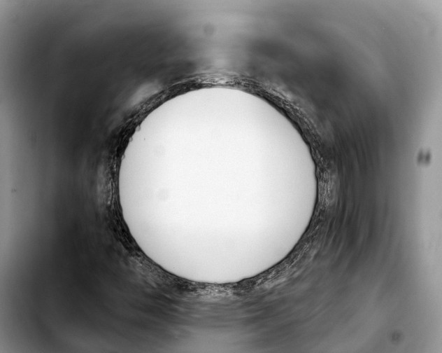 X0000103931446200810101342