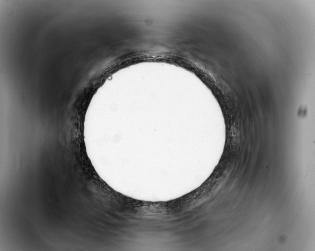 X0000103931447200810101342