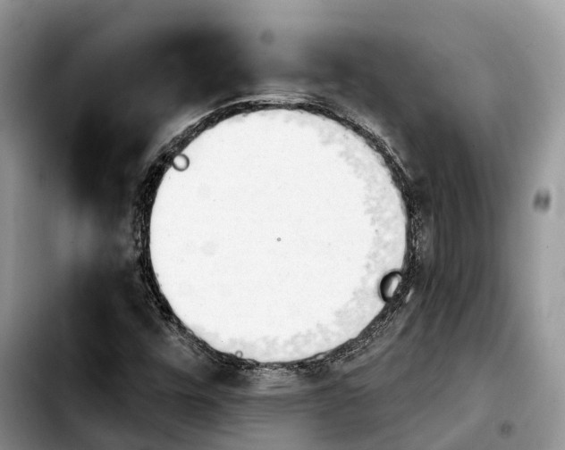 X0000103931448200810101342