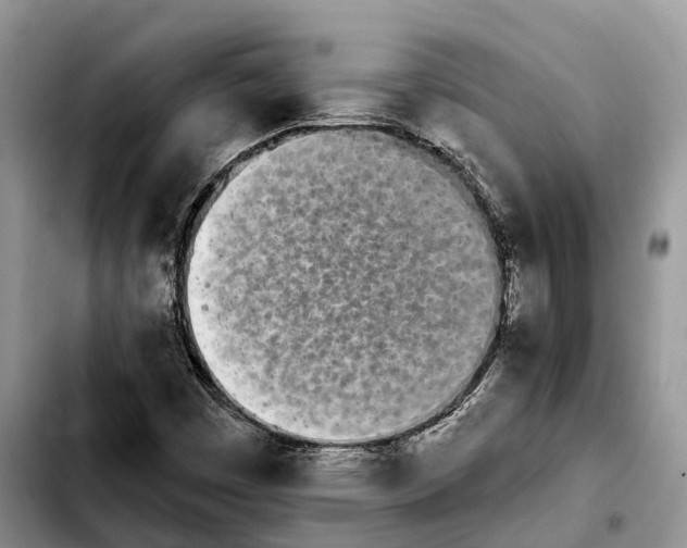 X0000103931449200810101342