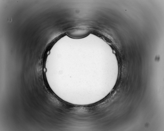 X0000103931450200810101342