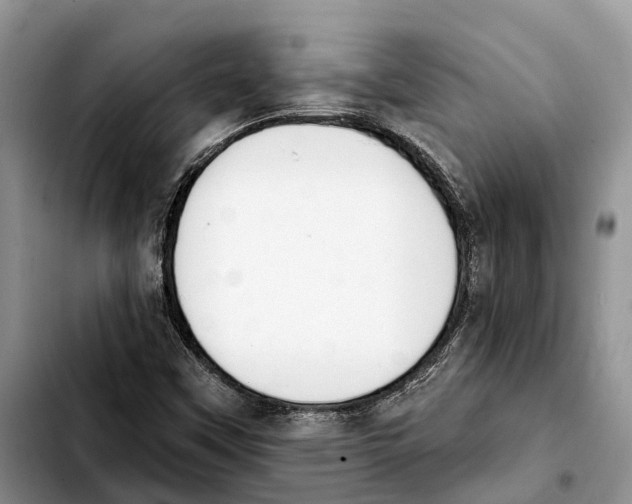 X0000103931451200810101342