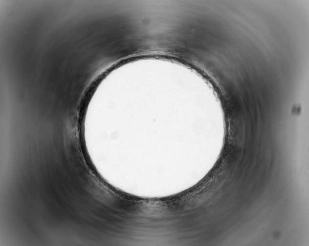 X0000103931452200810101342