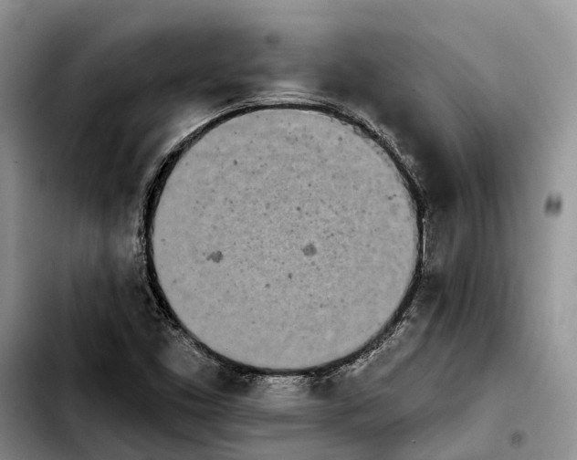 X0000103931453200810101342