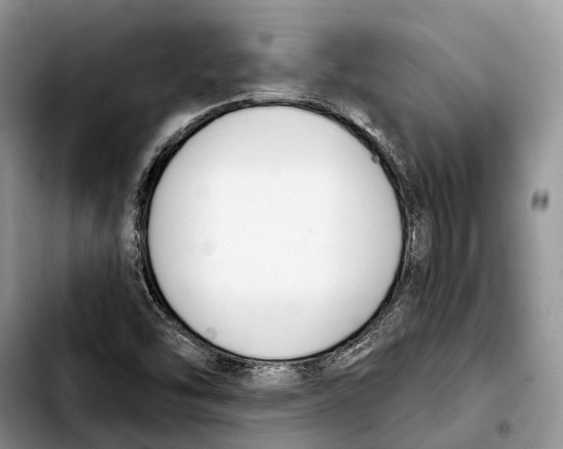 X0000103931454200810101342