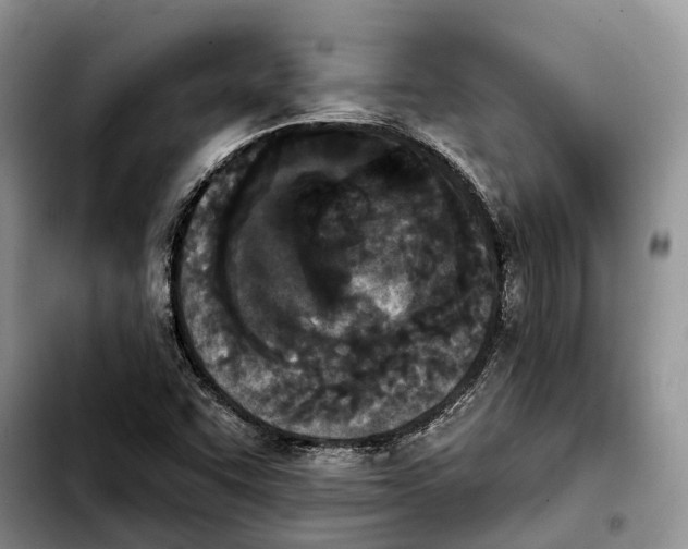 X0000103931455200810101342