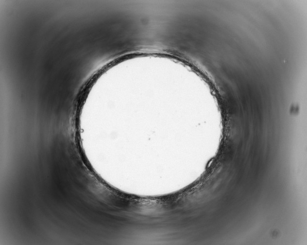 X0000103931456200810101342