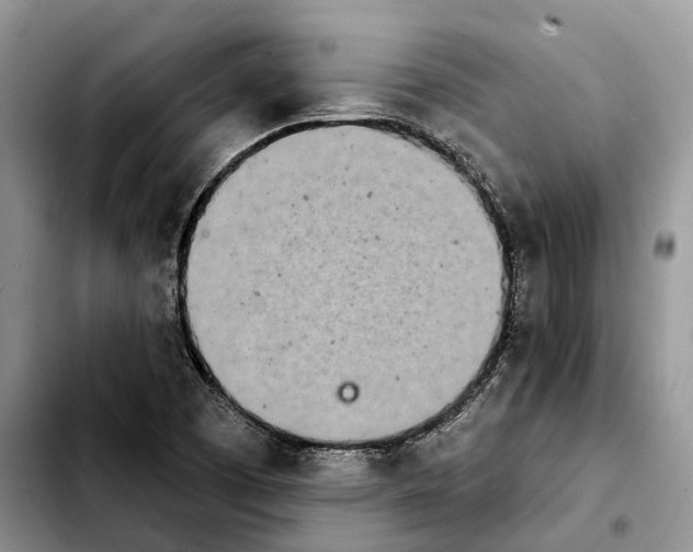 X0000103931457200810101342