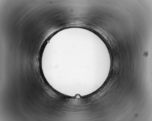 X0000103931458200810101342