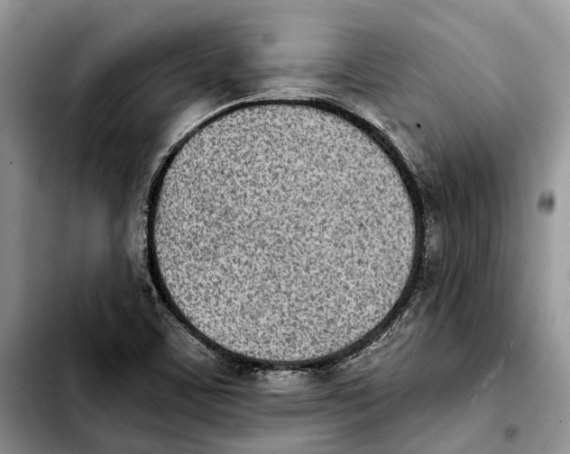 X0000103931459200810101342