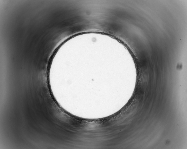 X0000103931460200810101342