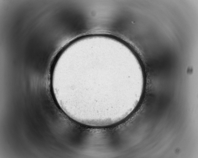 X0000103931461200810101342