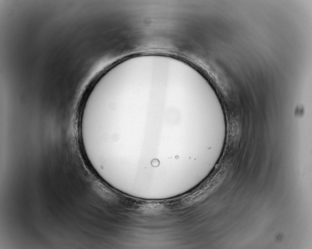 X0000103931462200810101342