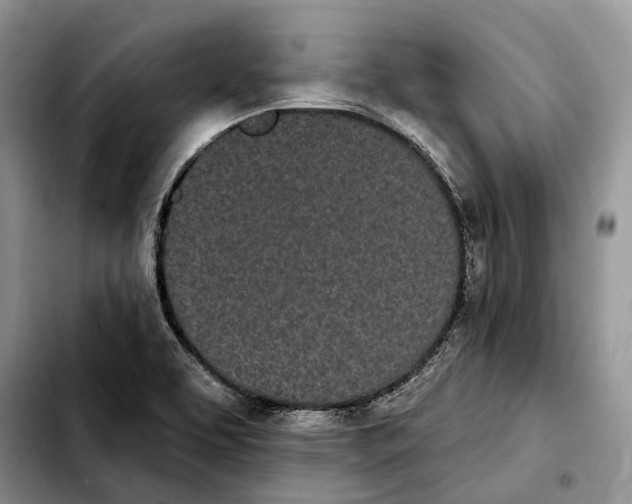 X0000103931463200810101342