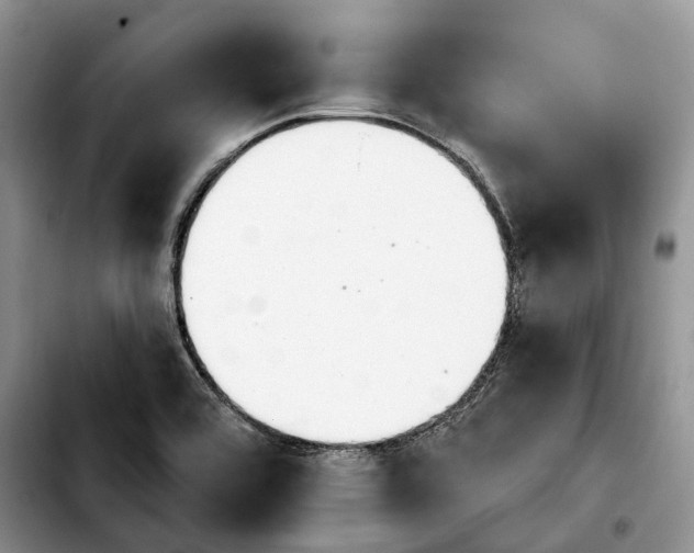 X0000103931464200810101342