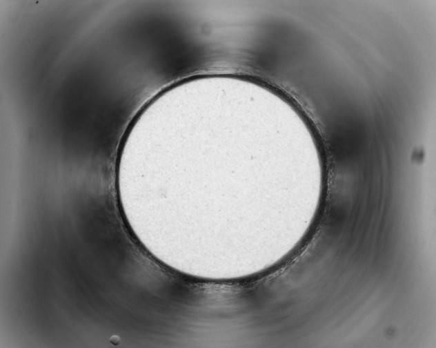 X0000103931465200810101342