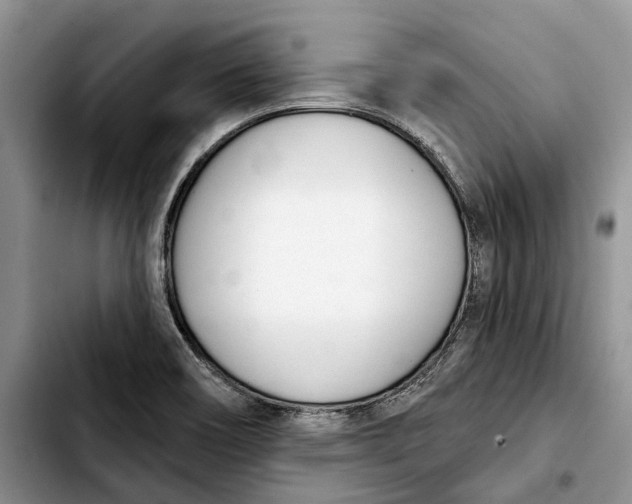 X0000103931466200810101342