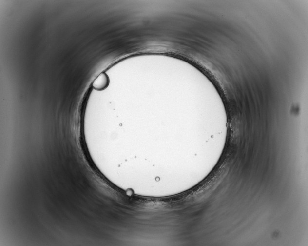 X0000103931467200810101342