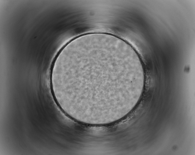 X0000103931468200810101342