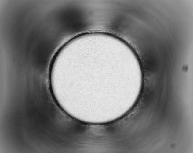 X0000103931469200810101342