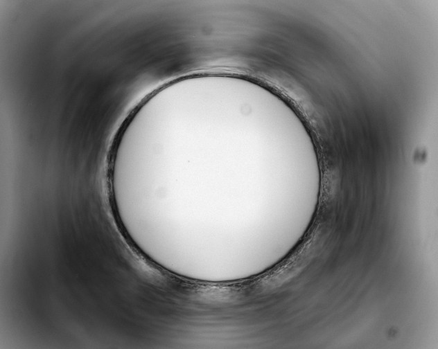 X0000103931470200810101342