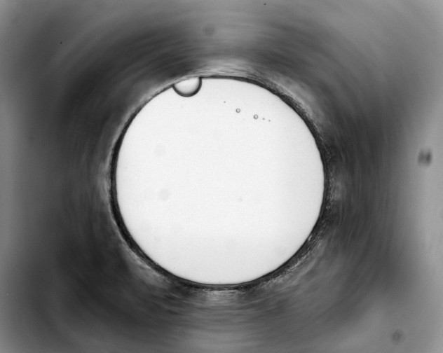 X0000103931471200810101342