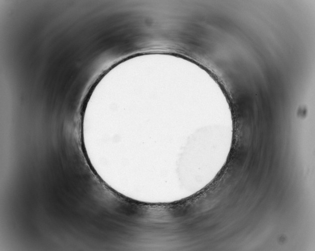 X0000103931472200810101342