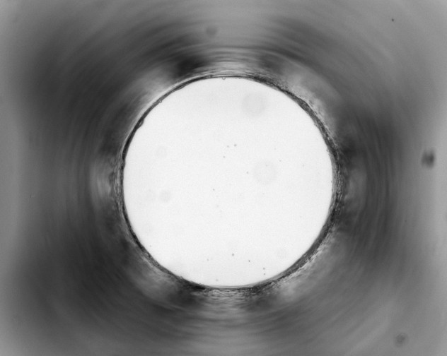 X0000103931473200810101342