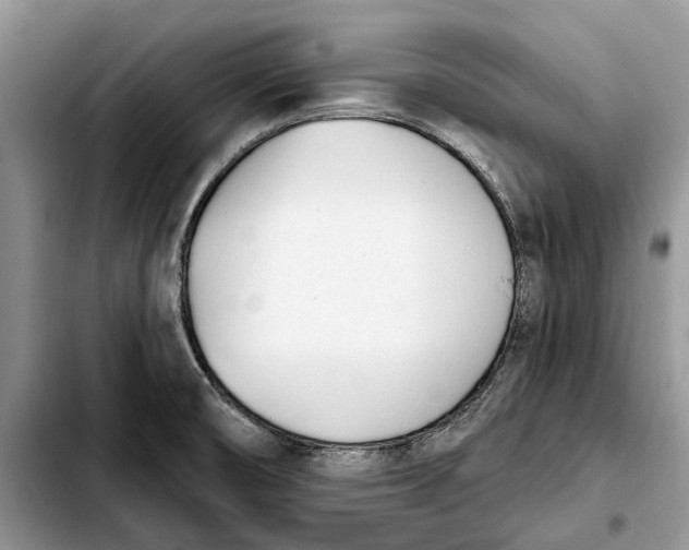 X0000103931474200810101342