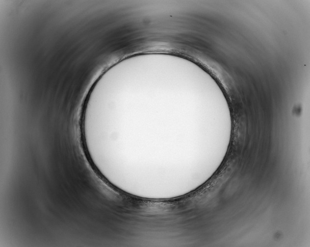 X0000103931475200810101342