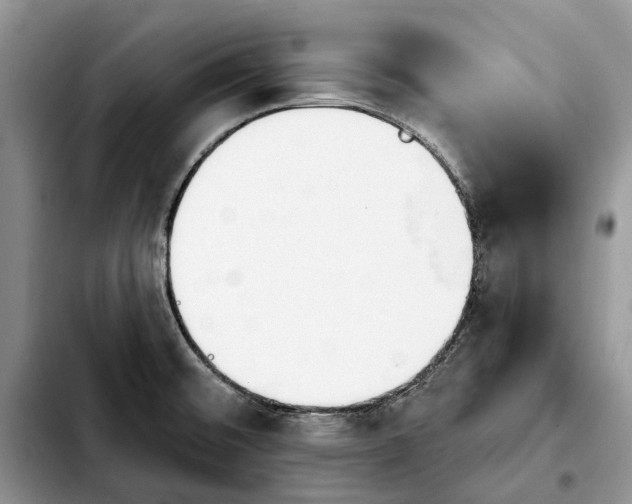 X0000103931476200810101342