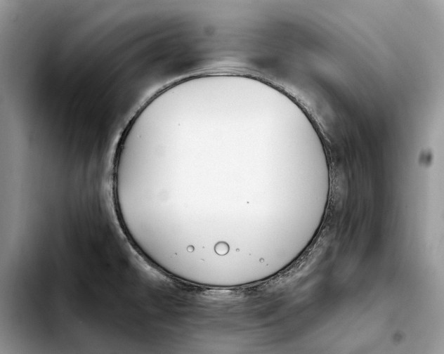 X0000103931478200810101342