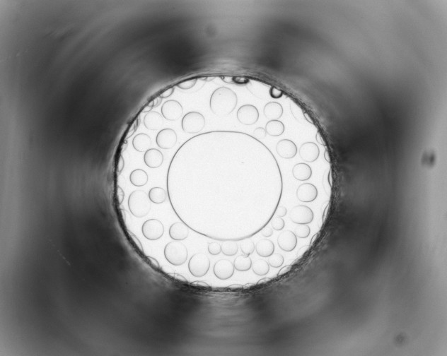 X0000103931479200810101341