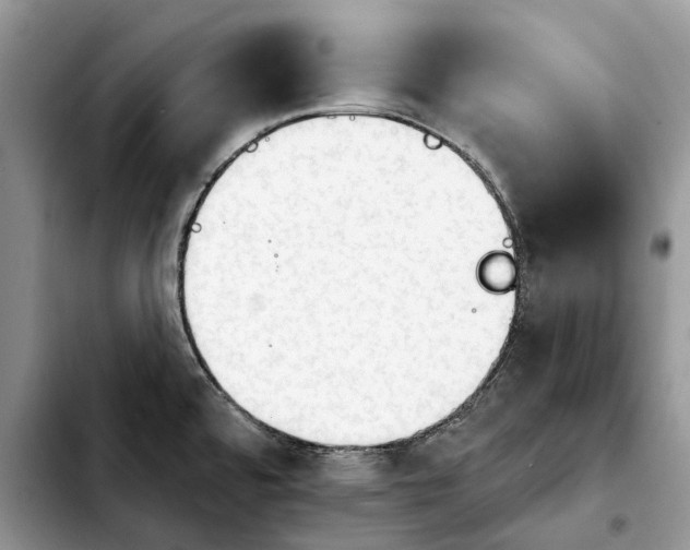 X0000103931480200810101341