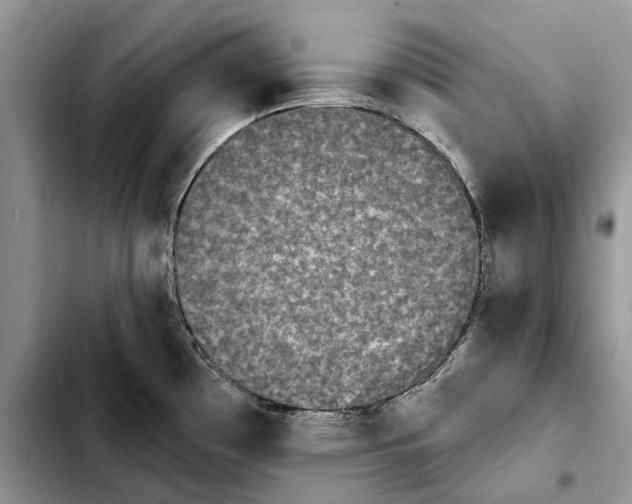 X0000103931481200810101341