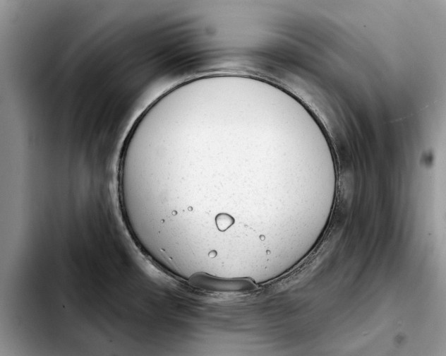 X0000103931482200810101341