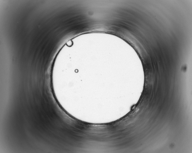 X0000103931483200810101341