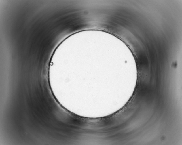 X0000103931484200810101341